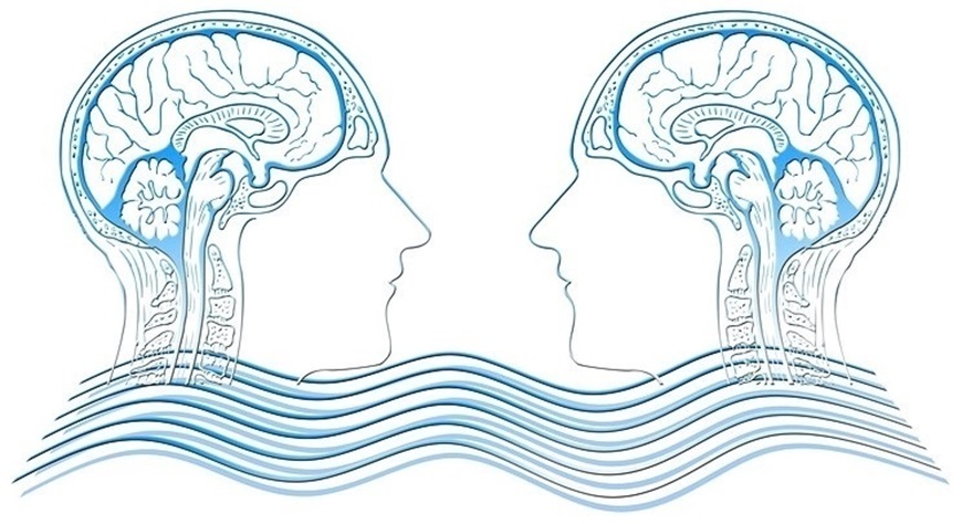 Picture of The Social-Emotional Brain: Harnessing humanity to reach common goals - Hybrid Course