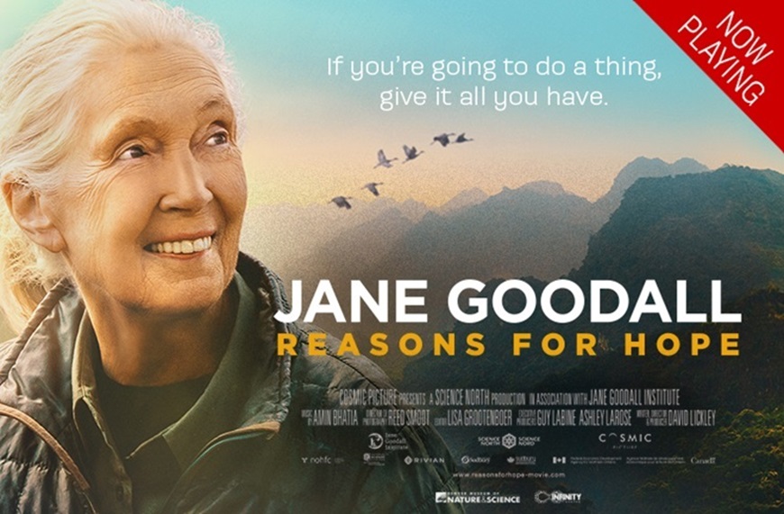 Picture of Jane Goodall: Reasons for Hope 2D (Requires Museum Admission)