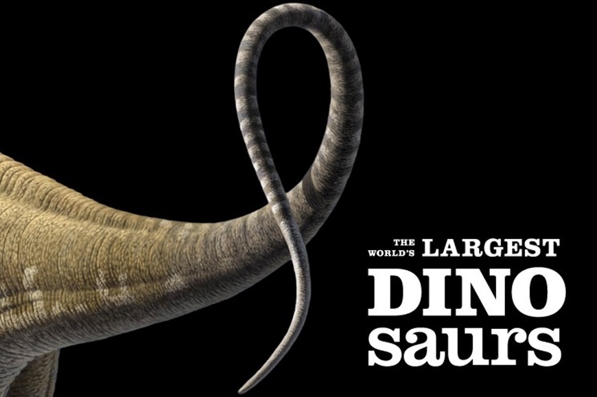 Picture of The World's Largest Dinosaurs